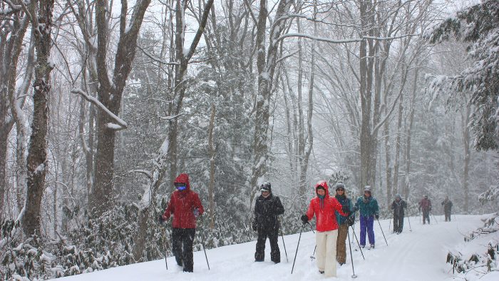 A group of women cross country skiing in a forest in Canada.