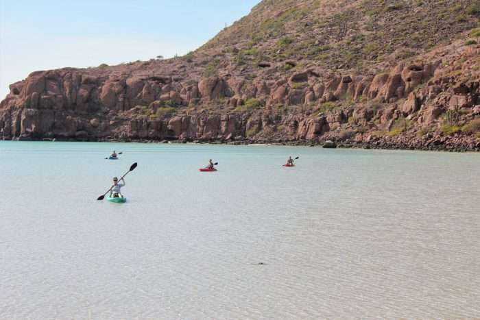 A group of women kayaking in the ocean during a custom tour.