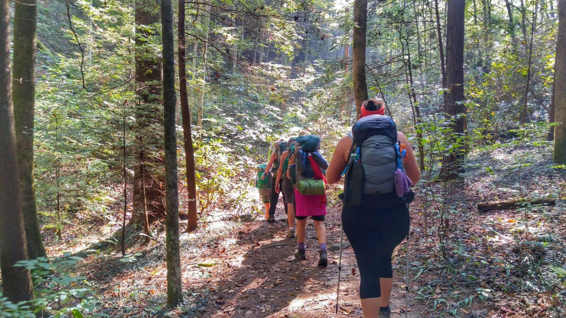 Five women wearing backpacks and hiking in the forest.