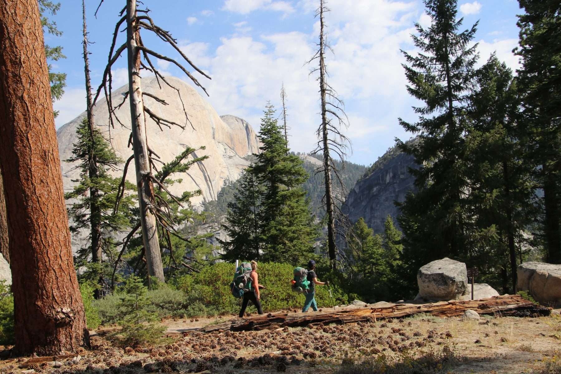 Two women wearing backpacks and hiking on the Panorama Trail surrounded by pine trees and mountains with Half Dome in the distance