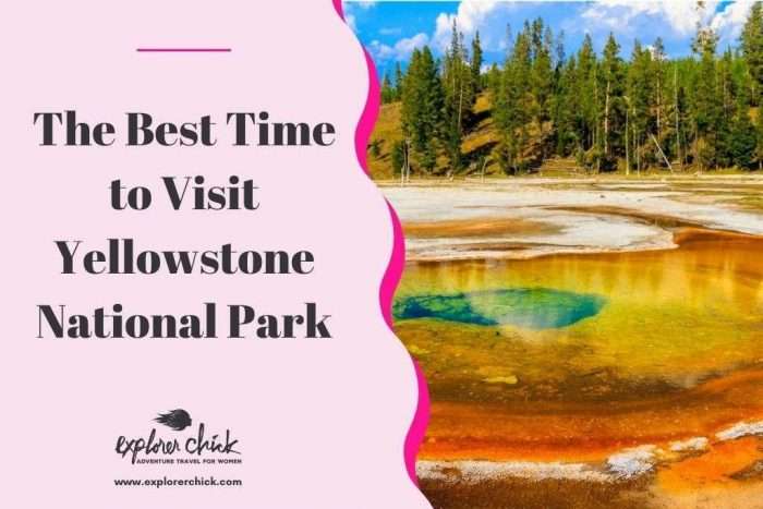 What’s the Best Time to Visit Yellowstone National Park?