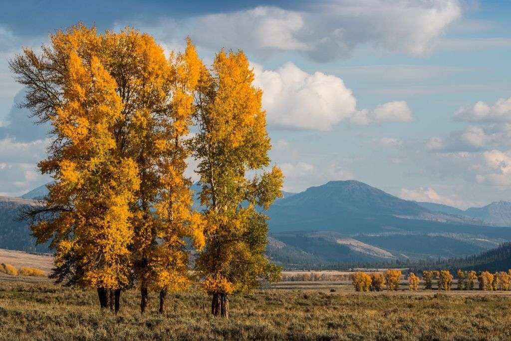 fall best time yellowstone