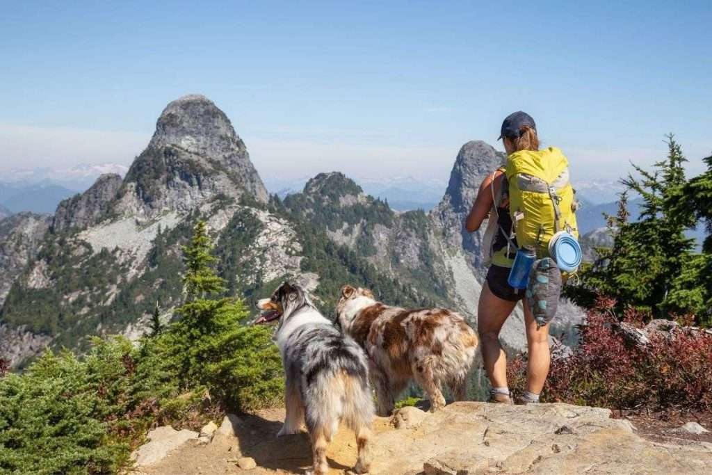 how to hike with dogs