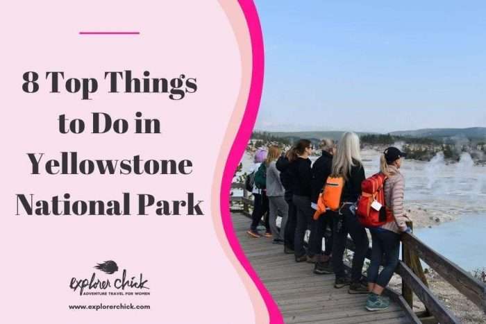 8 Top Things To Do In Yellowstone National Park