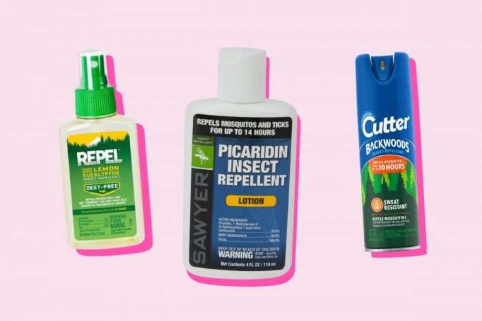 Best Mosquito Repellent for Camping, According To Our Guides