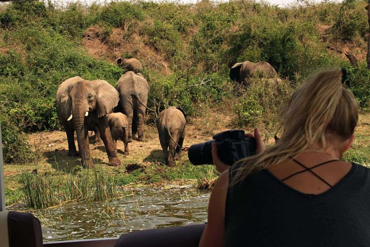 Explorer Chick capturing elephants on camera from a boat in Uganda