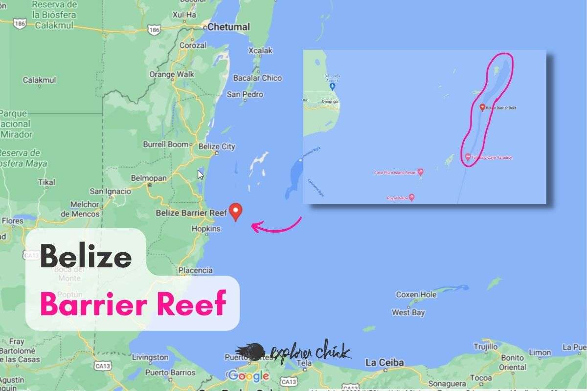 Glover’s Reef: The Best Belize Snorkeling Spot For Explorer Chicks ...