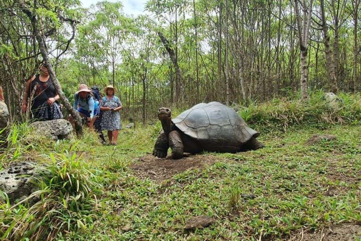 Explore Galapagos Islands in Ecuador